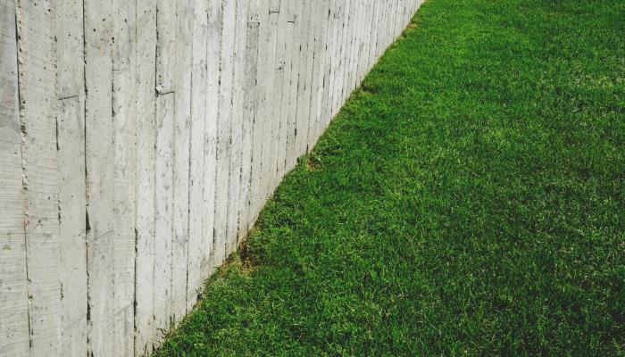 Clean plus Rustic fence