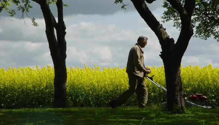 How often should you mow your lawn