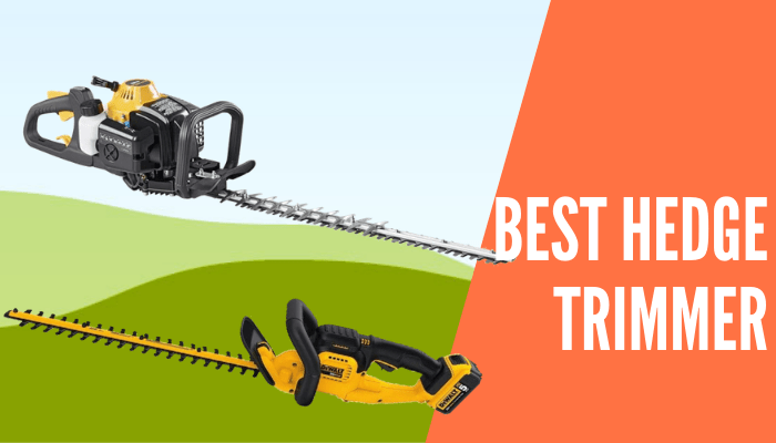 Best Hedge Trimmer