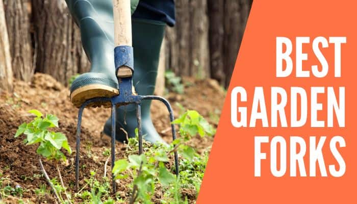 Best Garden Fork