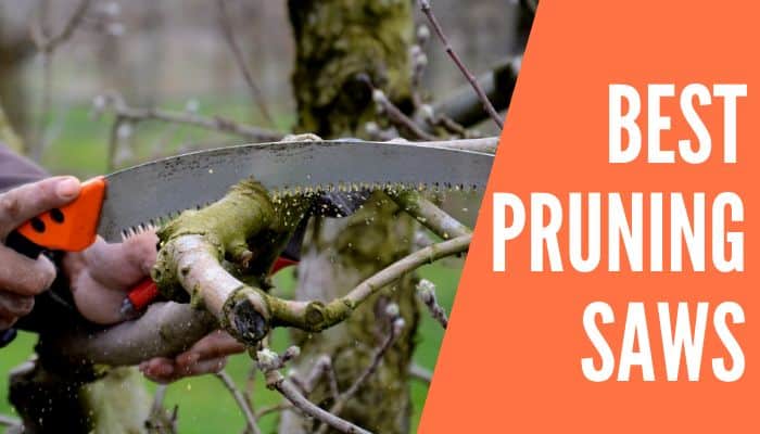 Best Pruning Saws