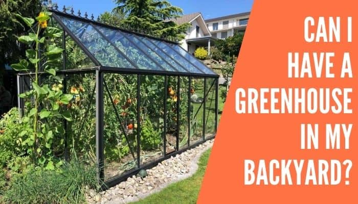 Can I Have a Greenhouse in My Backyard?