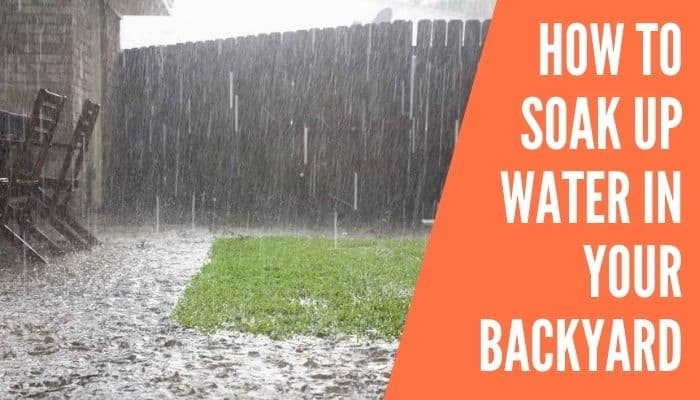 How to Soak Up Water in Your Backyard