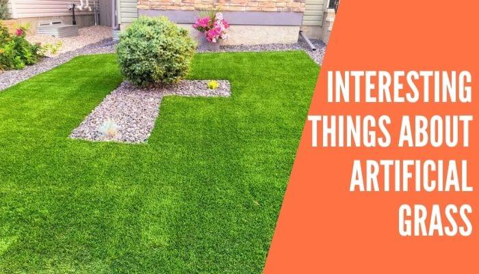 Interesting Things About Artificial Grass