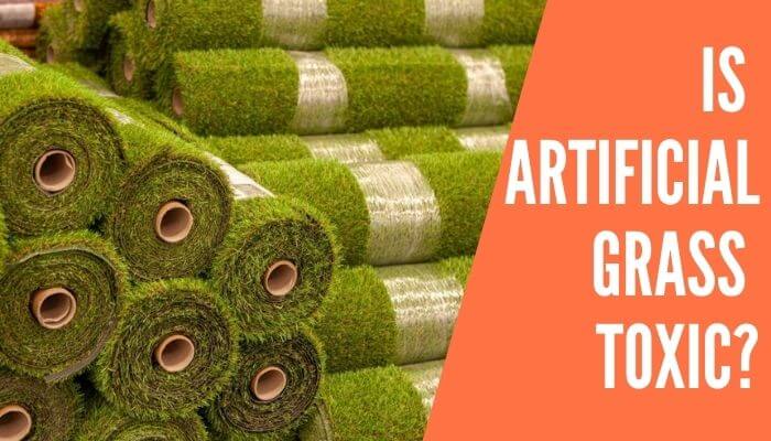 Is Artificial Grass Toxic