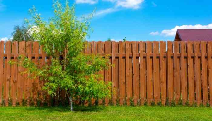 Wooden Fence